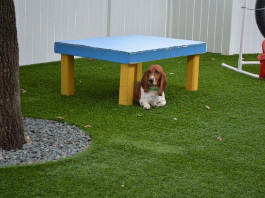 Artificial Grass Photos: Artificial Grass Wilton, California Dog Pound, Dogs Park