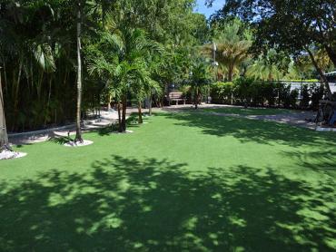 Artificial Grass Photos: Artificial Lawn Boronda, California Backyard Deck Ideas, Commercial Landscape