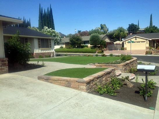 Artificial Lawn East Palo Alto, California Rooftop, Front Yard Design artificial grass