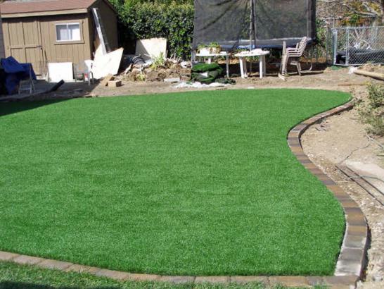 Artificial Grass Photos: Artificial Lawn El Sobrante, California Roof Top, Backyard Landscaping