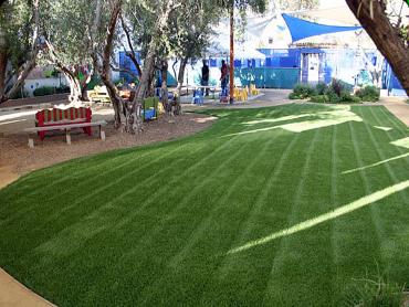 Artificial Grass Photos: Artificial Lawn Esparto, California Home And Garden, Commercial Landscape