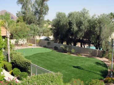 Artificial Grass Photos: Artificial Lawn Lincoln Village, California Diy Putting Green, Small Backyard Ideas