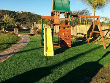 Artificial Grass Photos: Artificial Lawn Lompico, California Roof Top, Backyard Makeover