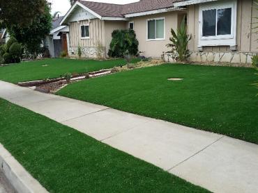 Artificial Grass Photos: Artificial Lawn North Highlands, California Garden Ideas, Small Front Yard Landscaping