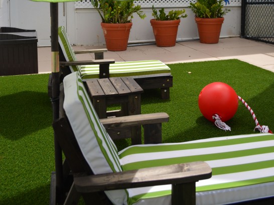 Artificial Grass Photos: Artificial Lawn Point Reyes Station, California Landscaping Business, Patio