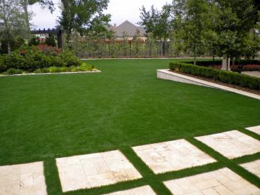 Artificial Grass Photos: Artificial Lawn San Carlos, California Landscaping, Backyard Landscaping