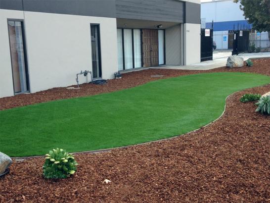 Artificial Grass Photos: Artificial Lawn Saranap, California Landscape Ideas, Commercial Landscape