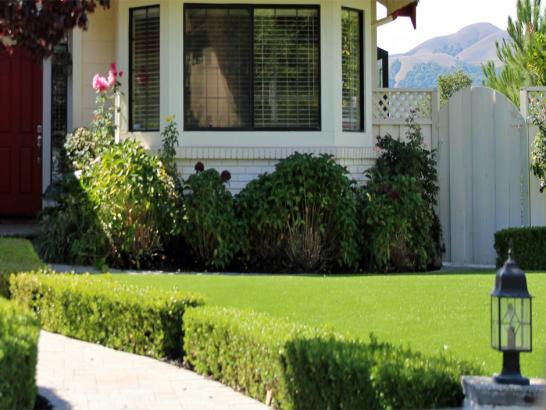 Artificial Grass Photos: Artificial Lawn Sheridan, California Paver Patio, Front Yard Landscaping Ideas