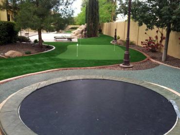 Artificial Grass Photos: Artificial Lawn Terminous, California Putting Green, Backyard Garden Ideas