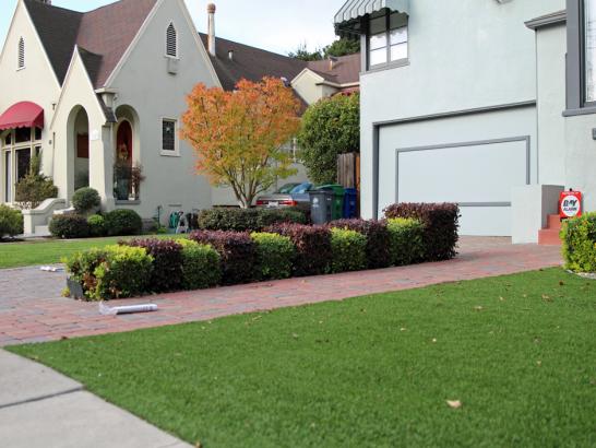 Artificial Grass Photos: Artificial Lawn Westley, California Backyard Playground, Front Yard Ideas
