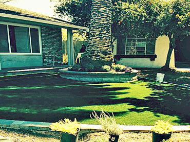 Artificial Grass Photos: Artificial Turf Bear Creek, California Backyard Playground, Front Yard