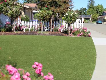 Artificial Grass Photos: Artificial Turf Cost Arnold, California Landscape Ideas, Front Yard Landscape Ideas