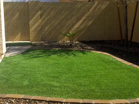 Artificial Grass Photos: Artificial Turf Cost Berkeley, California Gardeners, Backyard Ideas