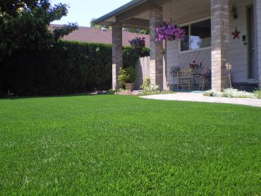Artificial Grass Photos: Artificial Turf Cost Bolinas, California Gardeners, Front Yard Landscaping