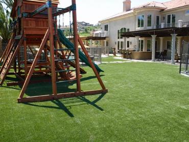Artificial Grass Photos: Artificial Turf Cost Byron, California Playground Turf, Backyard Landscape Ideas