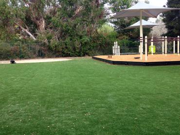 Artificial Grass Photos: Artificial Turf Cost Firebaugh, California Playground