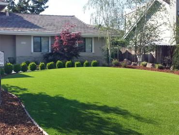 Artificial Grass Photos: Artificial Turf Cost Manteca, California Roof Top, Front Yard Ideas