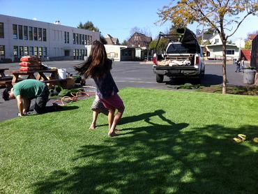 Artificial Grass Photos: Artificial Turf Cost Morada, California Landscape Ideas, Commercial Landscape