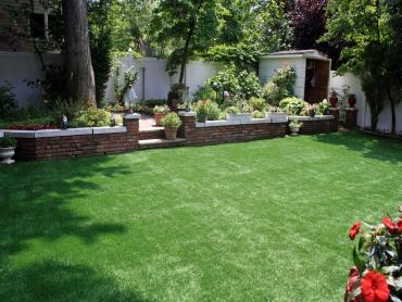 Artificial Grass Photos: Artificial Turf Cost Peters, California Rooftop, Backyard Design