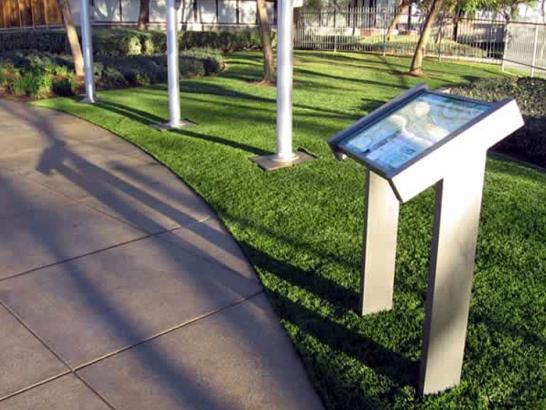 Artificial Grass Photos: Artificial Turf Cost San Leandro, California Backyard Deck Ideas, Parks