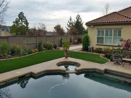 Artificial Grass Photos: Artificial Turf Cost Shackelford, California Garden Ideas, Backyard Landscape Ideas