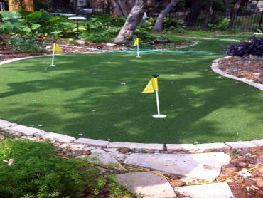 Artificial Grass Photos: Artificial Turf Cost South San Francisco, California Rooftop, Backyard Landscaping Ideas