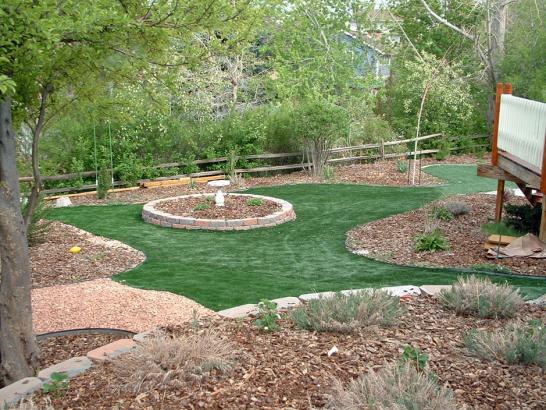 Artificial Grass Photos: Artificial Turf Del Rio, California Landscaping Business, Backyard Landscape Ideas