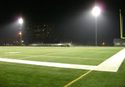 Artificial Grass Photos: Artificial Turf Diablo, California Stadium