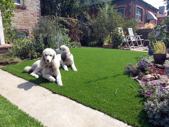 Artificial Grass Photos: Artificial Turf Installation Bradley, California Landscape Rock, Dogs Runs