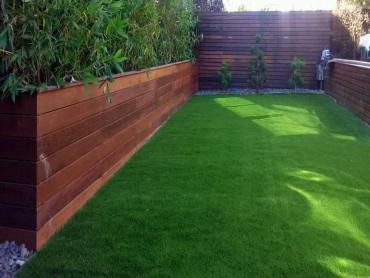 Artificial Grass Photos: Artificial Turf Installation Delhi, California Design Ideas, Beautiful Backyards