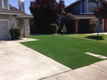 Artificial Grass Photos: Artificial Turf Installation El Sobrante, California Paver Patio, Front Yard Ideas