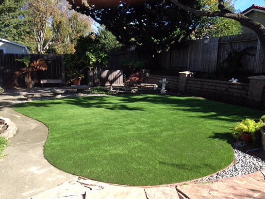 Artificial Grass Photos: Artificial Turf Installation Fairfield, California Design Ideas, Backyard Designs