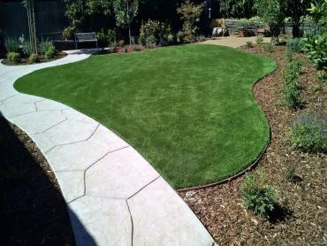 Artificial Grass Photos: Artificial Turf Installation Green Valley, California Design Ideas, Front Yard Landscape Ideas