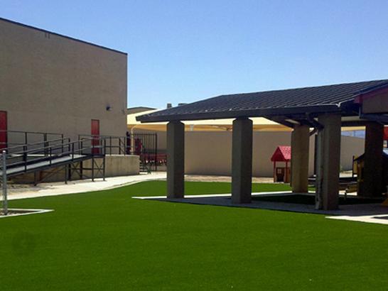 Artificial Grass Photos: Artificial Turf Installation Hollister, California Landscaping Business, Commercial Landscape