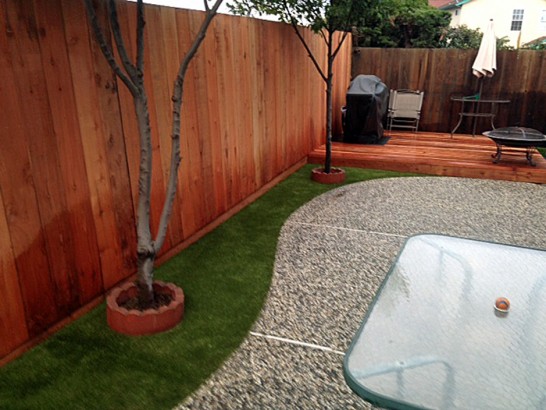 Artificial Turf Installation Hughson, California Indoor Dog Park, Backyard Landscaping Ideas artificial grass