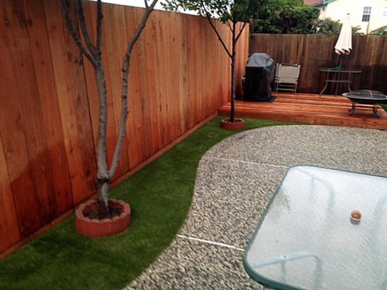 Artificial Grass Photos: Artificial Turf Installation Hughson, California Indoor Dog Park, Backyard Landscaping Ideas