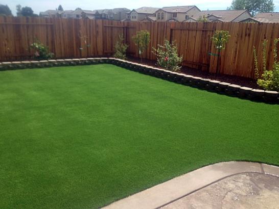 Artificial Grass Photos: Artificial Turf Installation Redwood City, California Lawns, Backyard Design