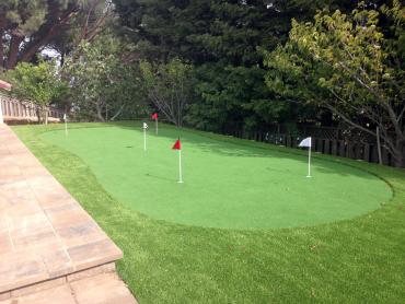 Artificial Grass Photos: Artificial Turf Installation River Pines, California Putting Green, Backyards