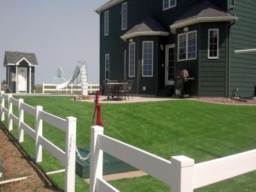 Artificial Grass Photos: Artificial Turf Installation San Martin, California, Front Yard Landscape Ideas