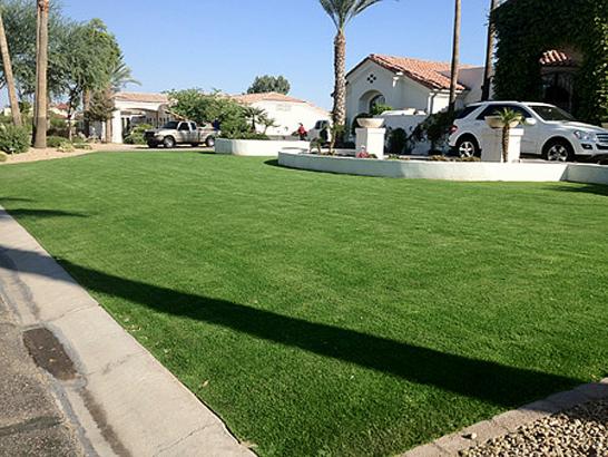 Artificial Grass Photos: Artificial Turf Installation Sausalito, California Landscape Ideas, Front Yard Landscape Ideas