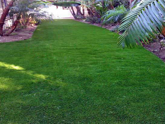 Artificial Grass Photos: Artificial Turf Installation Tiburon, California Lawn And Landscape, Backyard Landscaping Ideas