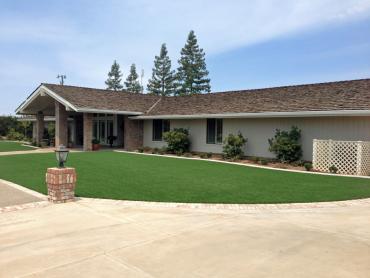 Artificial Grass Photos: Artificial Turf Installation Tres Pinos, California Landscape Ideas, Small Front Yard Landscaping