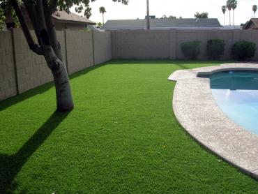 Artificial Grass Photos: Artificial Turf Installation Vallecito, California Home And Garden, Backyard Landscaping