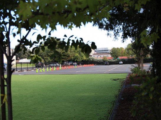 Artificial Grass Photos: Artificial Turf Installation Walnut Grove, California Sports Athority, Commercial Landscape