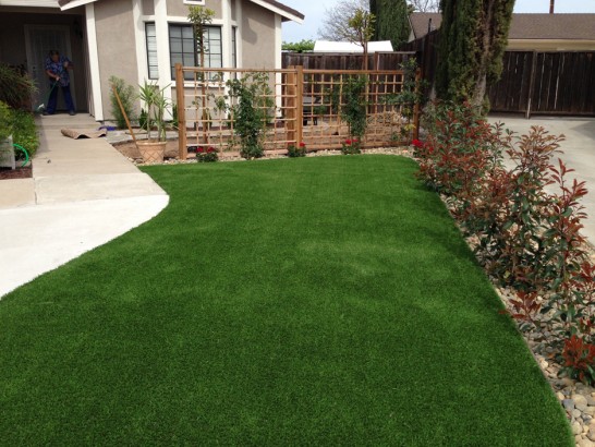 Artificial Grass Photos: Artificial Turf Inverness, California Backyard Playground, Small Front Yard Landscaping