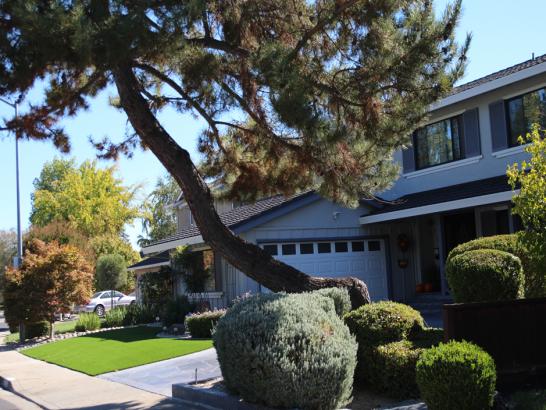 Artificial Grass Photos: Artificial Turf Kentfield, California Landscape Rock, Small Front Yard Landscaping