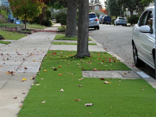 Artificial Grass Photos: Artificial Turf Knightsen, California Design Ideas, Front Yard Landscape Ideas