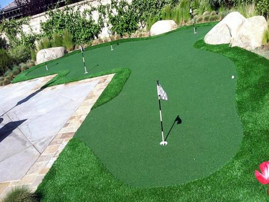 Artificial Grass Photos: Artificial Turf Mountain View, California Office Putting Green, Backyard Landscaping Ideas