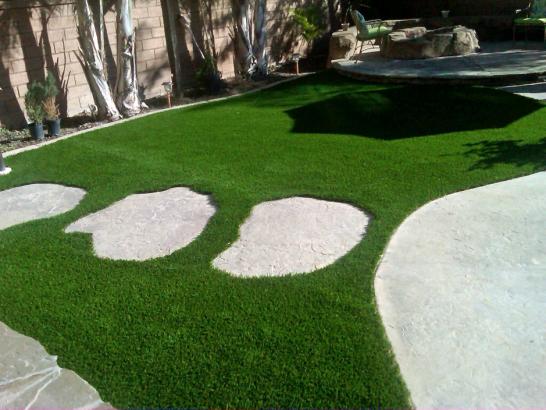 Artificial Grass Photos: Artificial Turf Pacheco, California Landscaping, Backyard Designs