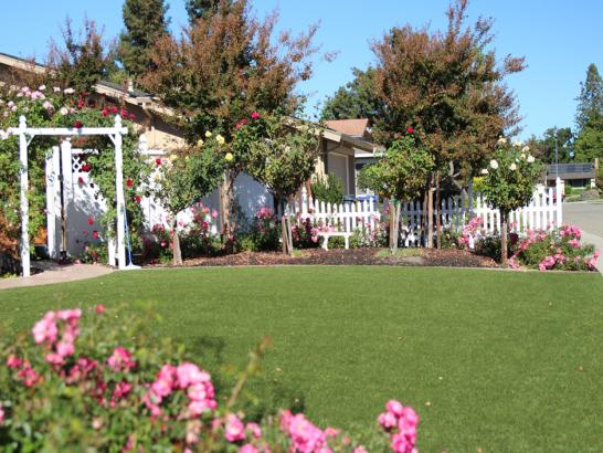 Artificial Grass Photos: Artificial Turf Palo Alto, California Backyard Playground, Front Yard